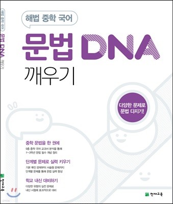 문법 DNA 깨우기