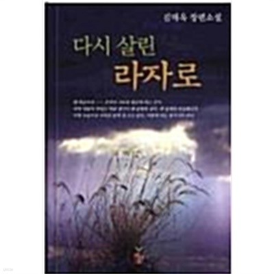 다시 살린 라자로/ 김태옥 장편소설