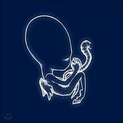Sigur Ros — Agaetis Byrjun 2LP 앨범 커버