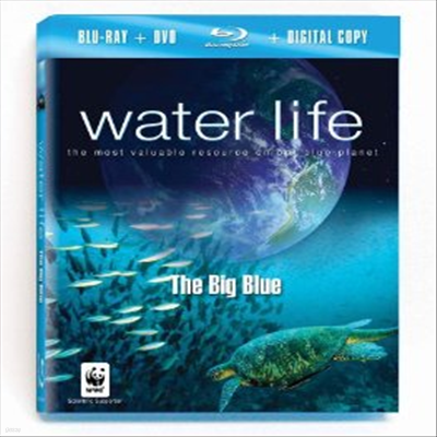 Water Life: The Big Blue (ѱ۹ڸ)(Blu-ray) (2010)