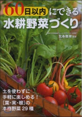 60日以內にできる水耕野菜づくり