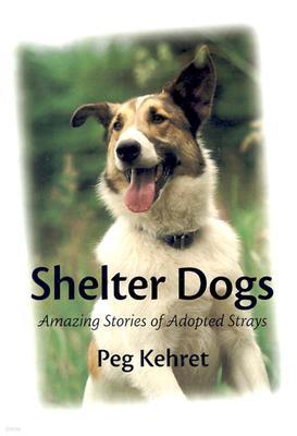 Shelter Dogs: Amazing Stories of Adopted Strays