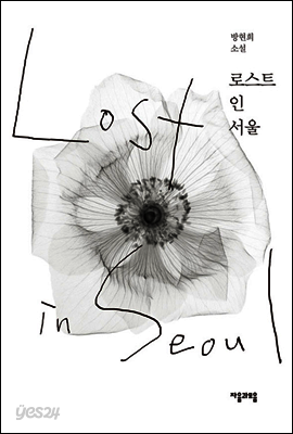 로스트 인 서울