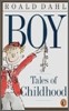 BOY: Tales of Childhood