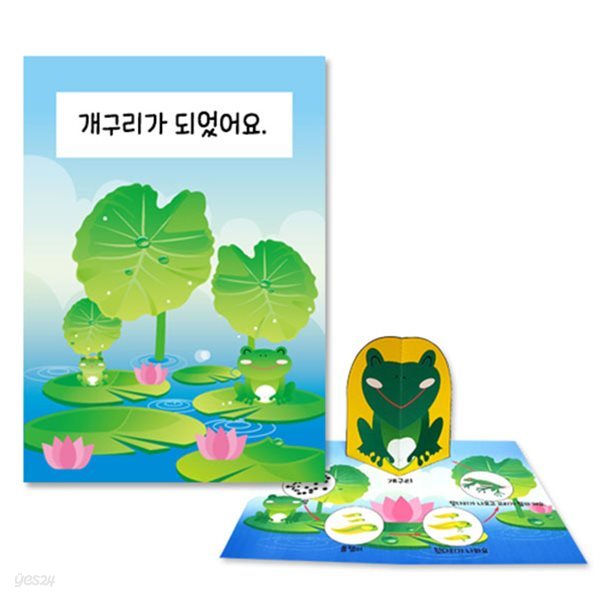 개구리 관찰 팝업북 만들기