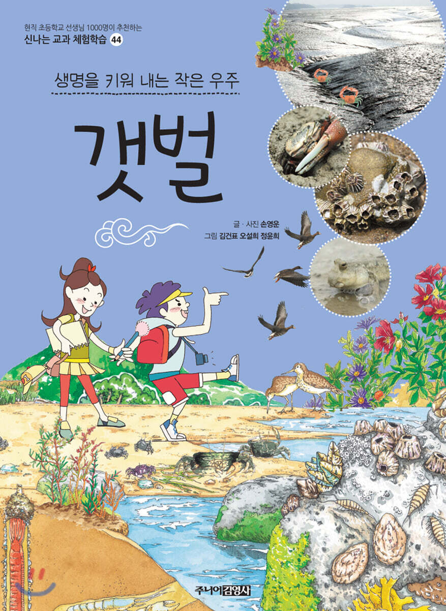 갯벌
