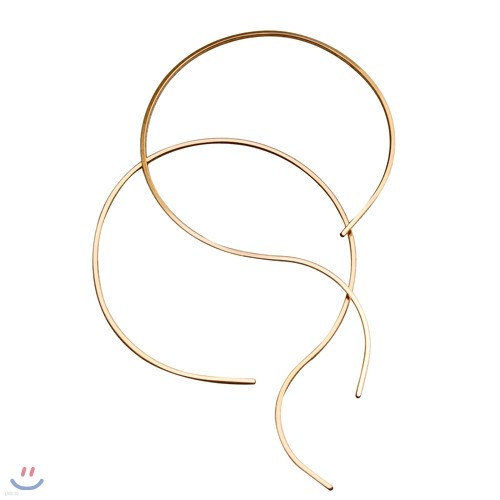 Wire curve earring