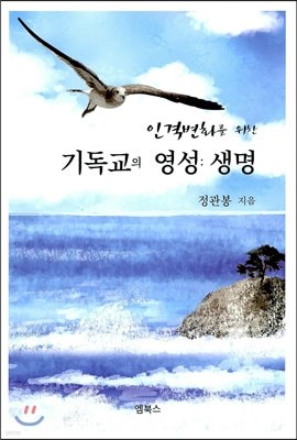 기독교의 영성 생명