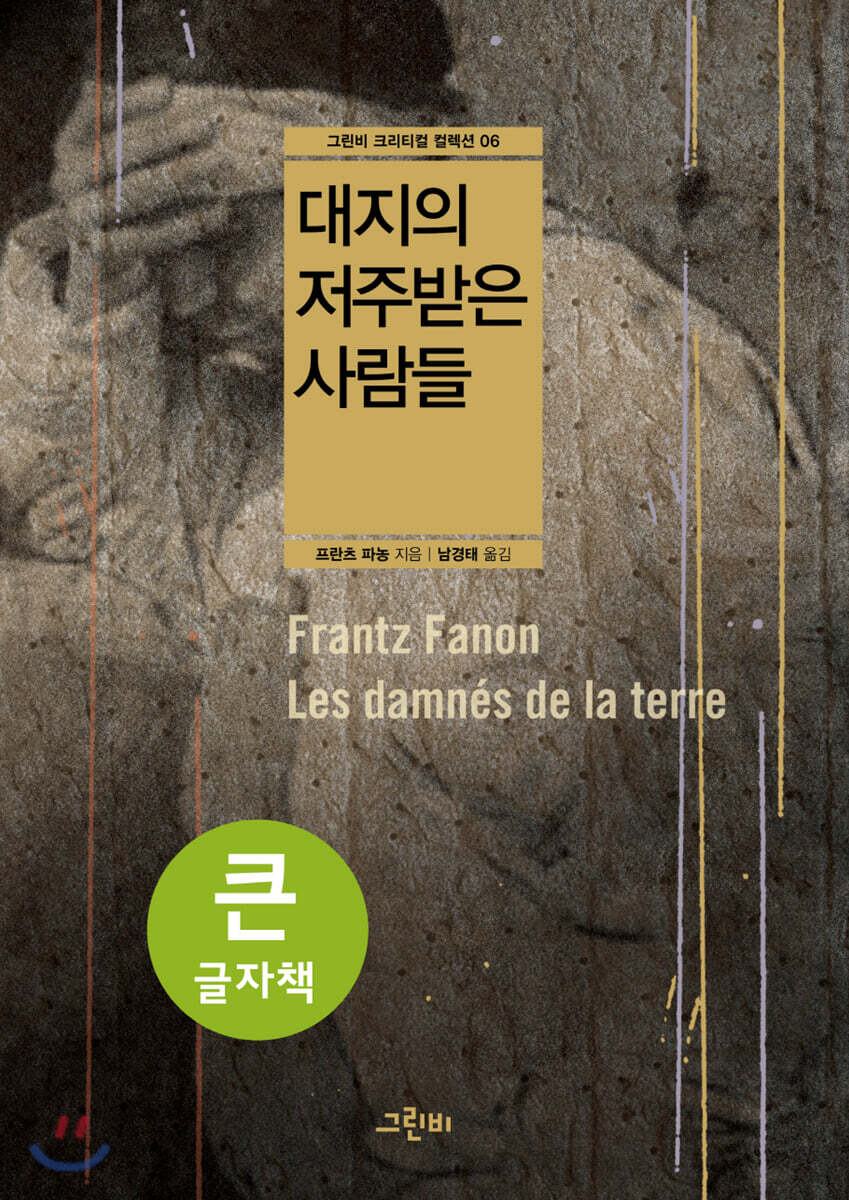 대지의 저주받은 사람들 (큰글자책)