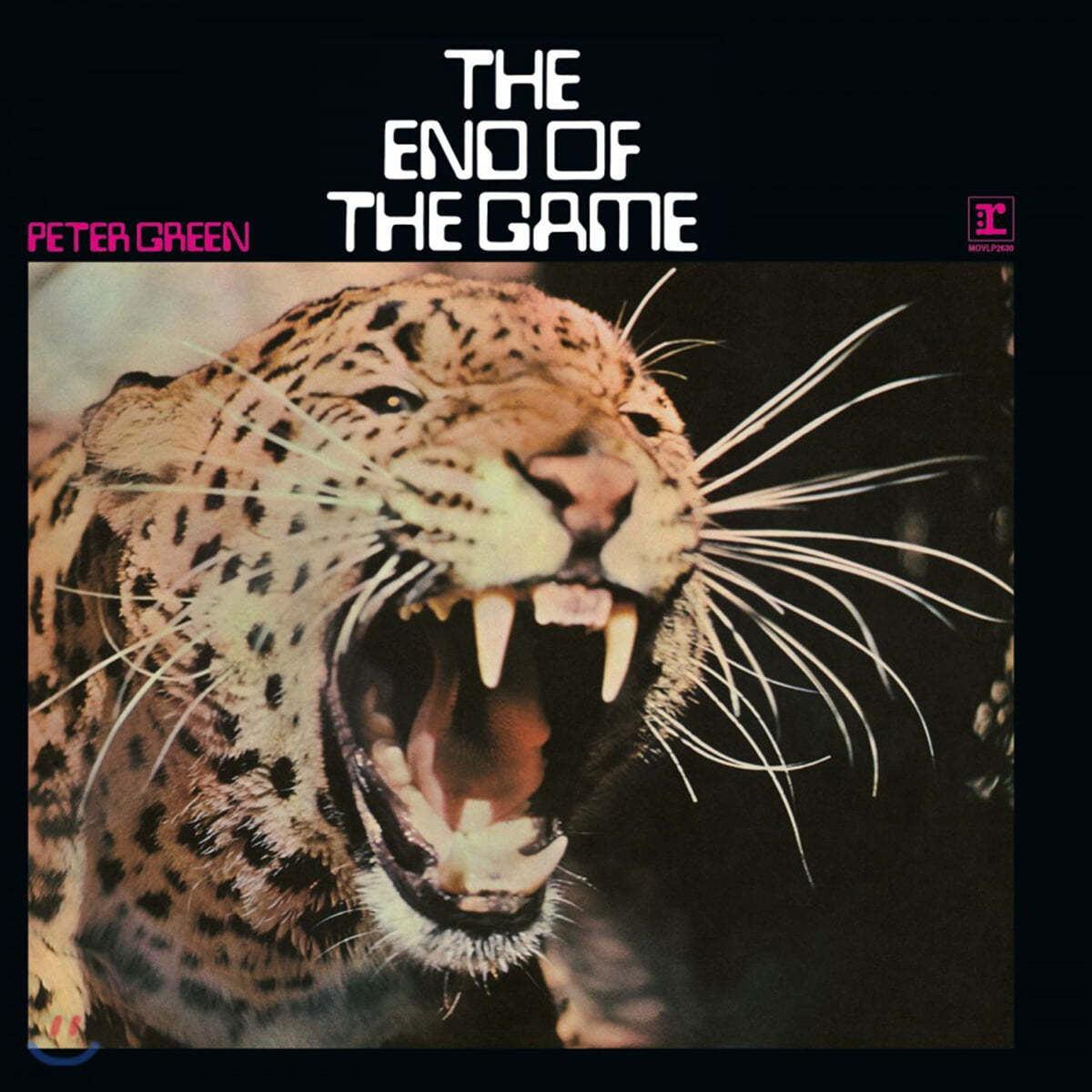 Peter Green (피터 그린) - 1집 The End of the Game [LP]