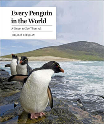 Every Penguin in the World