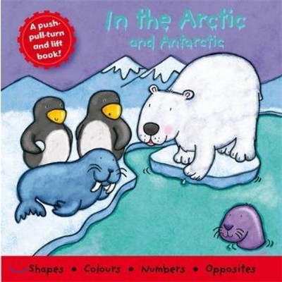 In the Arctic and Antarctic (Little Deluxe Boards) 