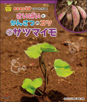 さいばいとかんさつのコツ(7)サツマイモ