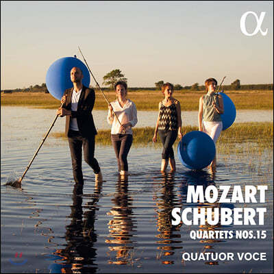 Quatuor Voce 모차르트 / 슈베르트: 현악 4중주 15번 - 보체 사중주단 (Mozart / Schubert: Quartets K.421, D.887)
