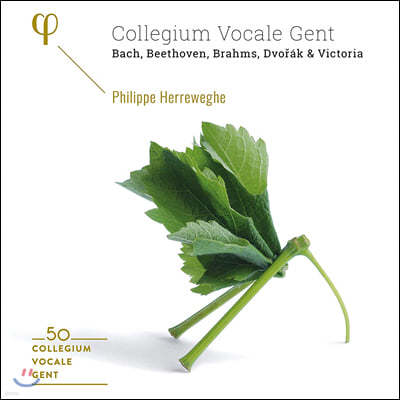 Phillipe Herreweghe ʸ 췹 - ݷ Į Ʈ 50ֳ ڽ Ʈ (Collegium Vocale Gent: 50th Anniversary)