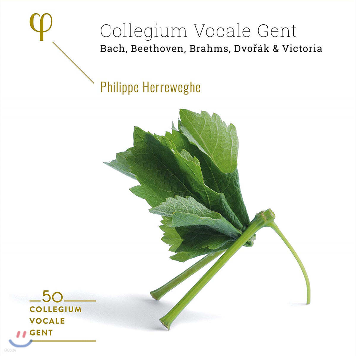 Phillipe Herreweghe 필립 헤레베헤 - 콜레기움 보칼레 겐트 50주년 박스 세트 (Collegium Vocale Gent: 50th Anniversary)