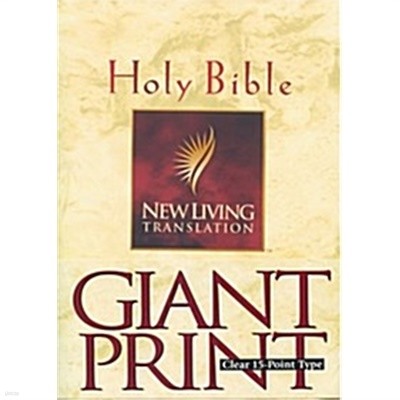 Holy Bible: New Living Translation (Paperback)/ 원서