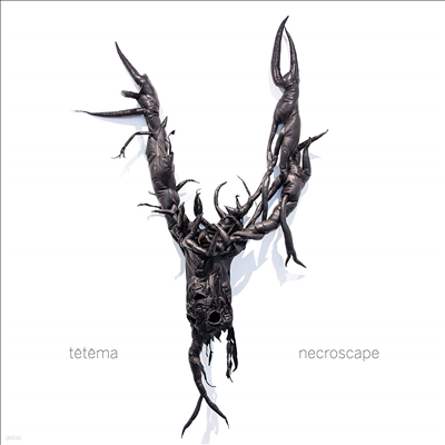 Tetema - Necroscape (LP)