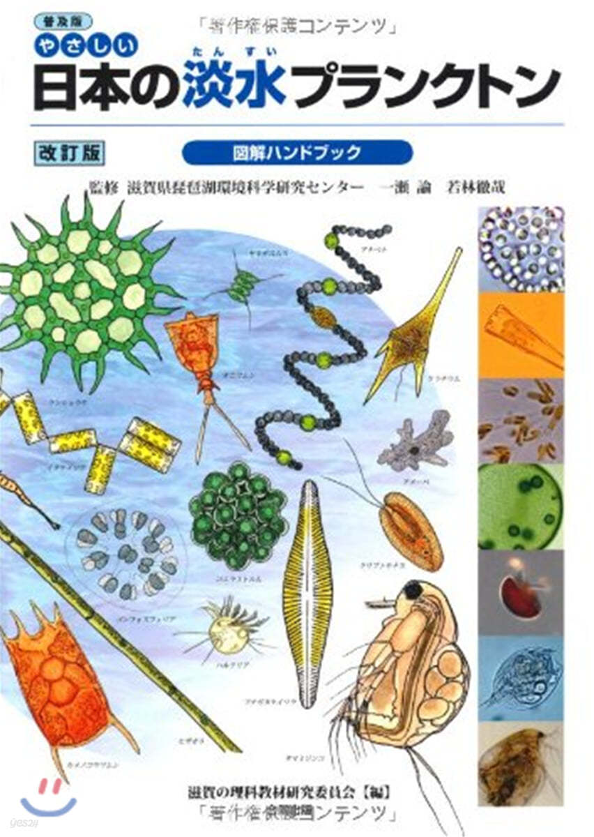 やさしい日本の淡水プランクトン圖解ハンドブック 普及版改訂版