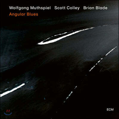 Wolfgang Muthspiel ( ) - Angular Blues [LP]