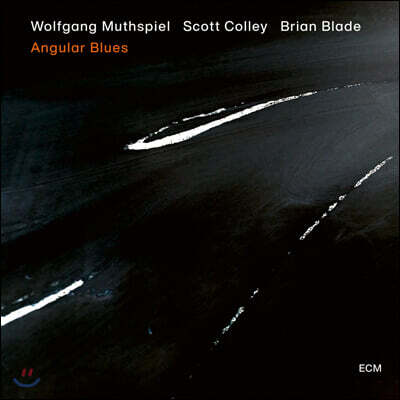 Wolfgang Muthspiel (볼프강 무스필) - Angular Blues [LP]
