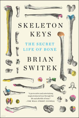 Skeleton Keys: The Secret Life of Bone