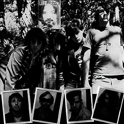 Dwarves - Lick It 1983-86 (Ltd. Ed)(2LP)