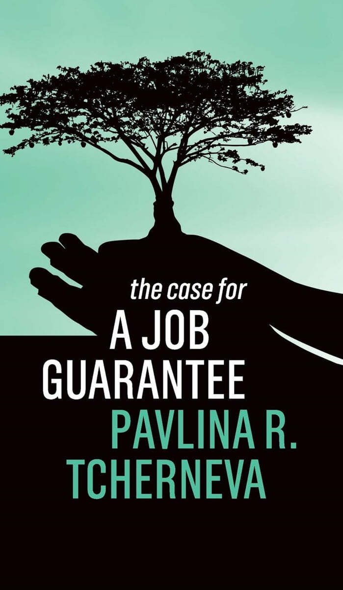 The Case for a Job Guarantee