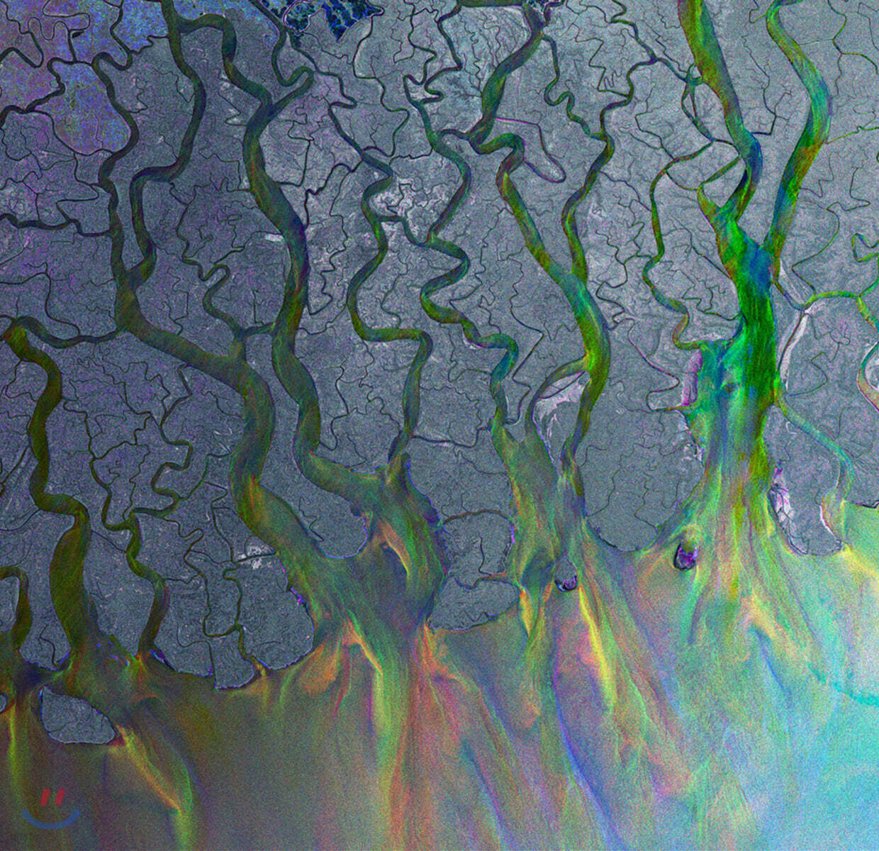 alt-J (알트 제이) - 1집 An Awesome Wave