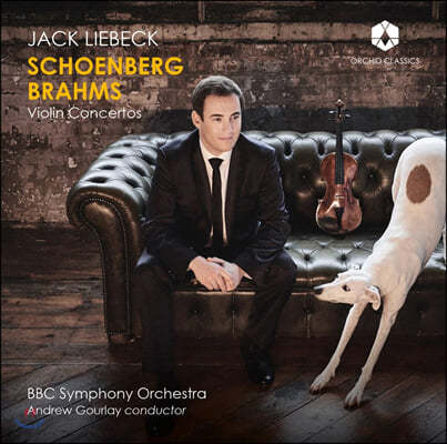Jack Liebeck 麣ũ / : ̿ø ְ (Schoenberg / Brahms: Violin Concertos)