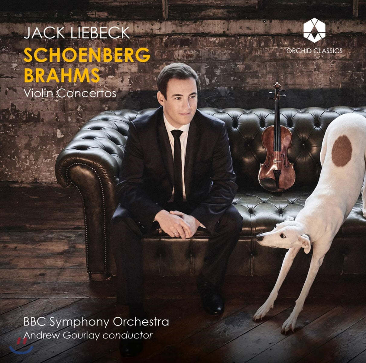 Jack Liebeck 쇤베르크 / 브람스: 바이올린 협주곡 (Schoenberg / Brahms: Violin Concertos)