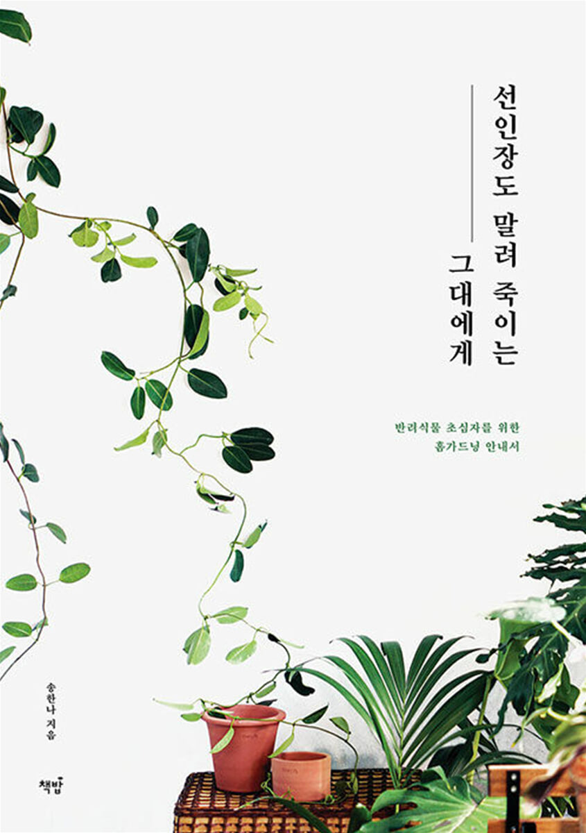 선인장도 말려 죽이는 그대에게