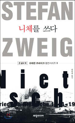 니체를 쓰다 (큰글씨책)