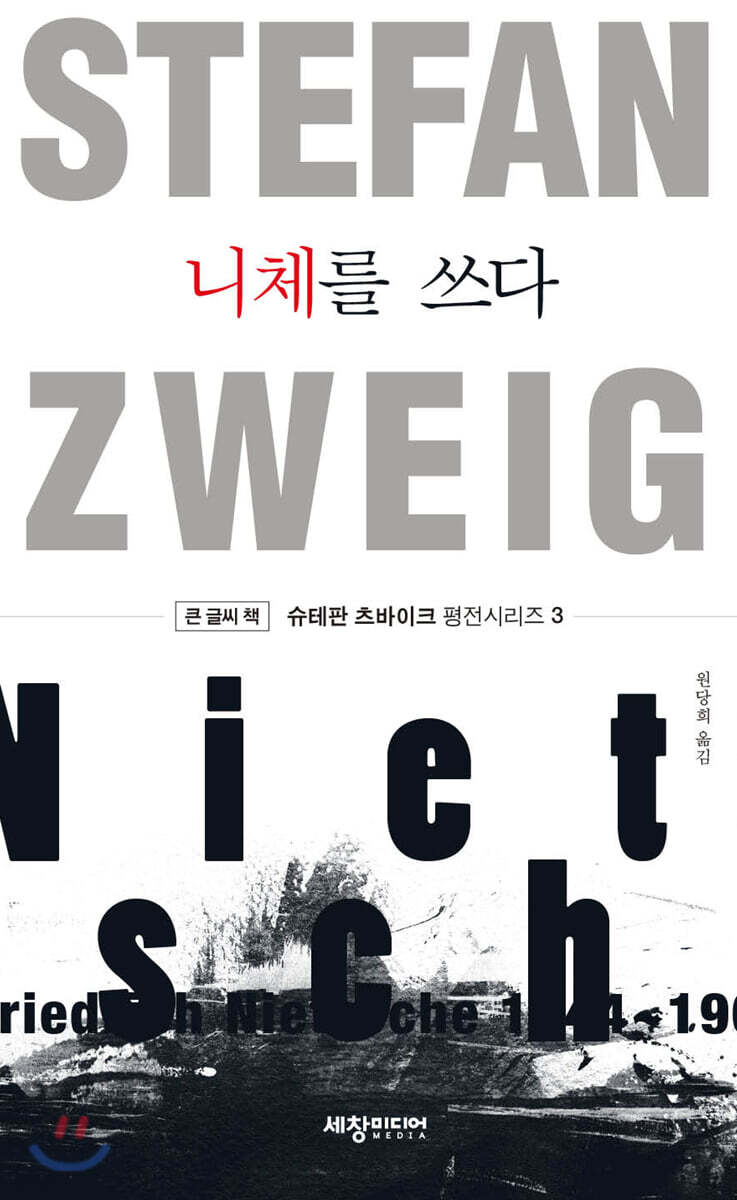 니체를 쓰다 (큰글씨책)