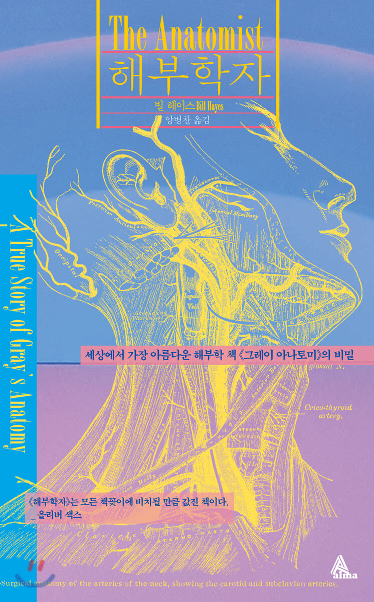 해부학자