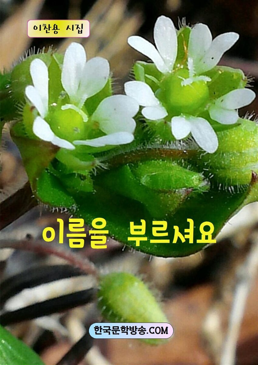 이름을 부르셔요