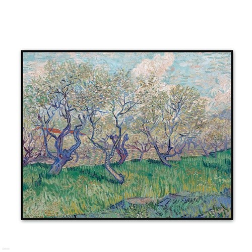 [The Bella]  -  Ǵ  Orchard in Blossom