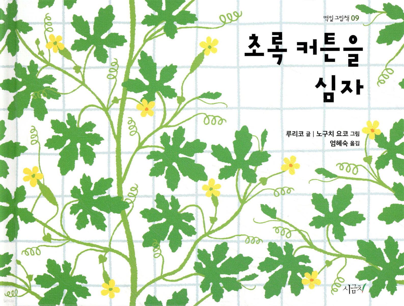 초록 커튼을 심자