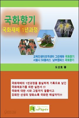 국화향기
