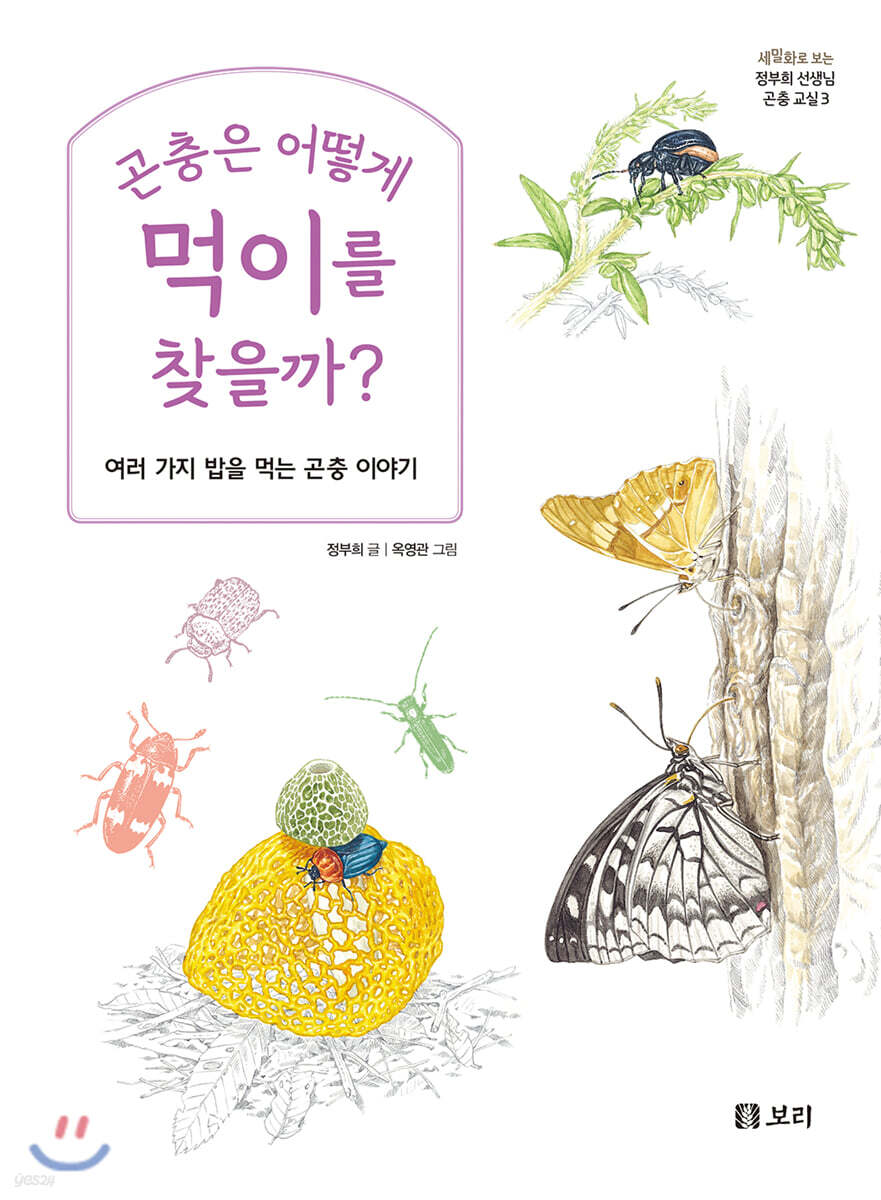 곤충은 어떻게 먹이를 찾을까?