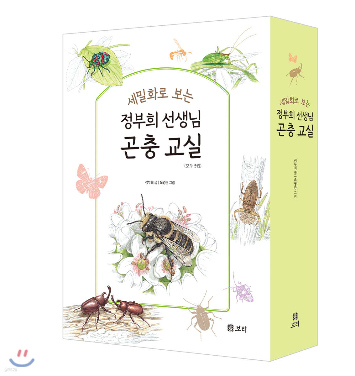 세밀화로 보는 정부희 선생님 곤충 교실 세트