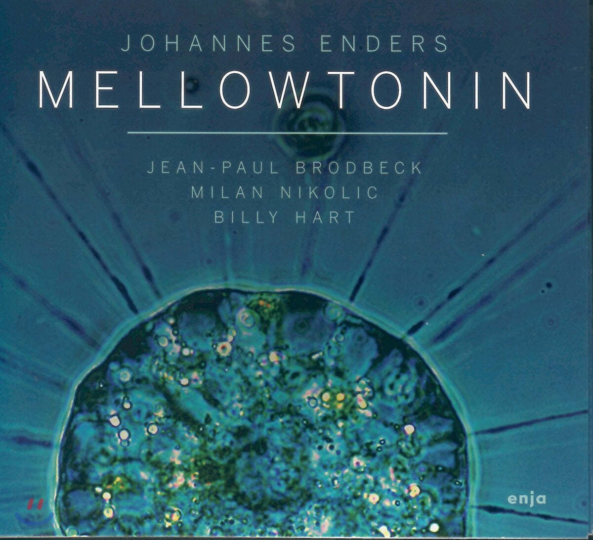 Johannes Enders (요하네스 엔더스) - Mellowtonin