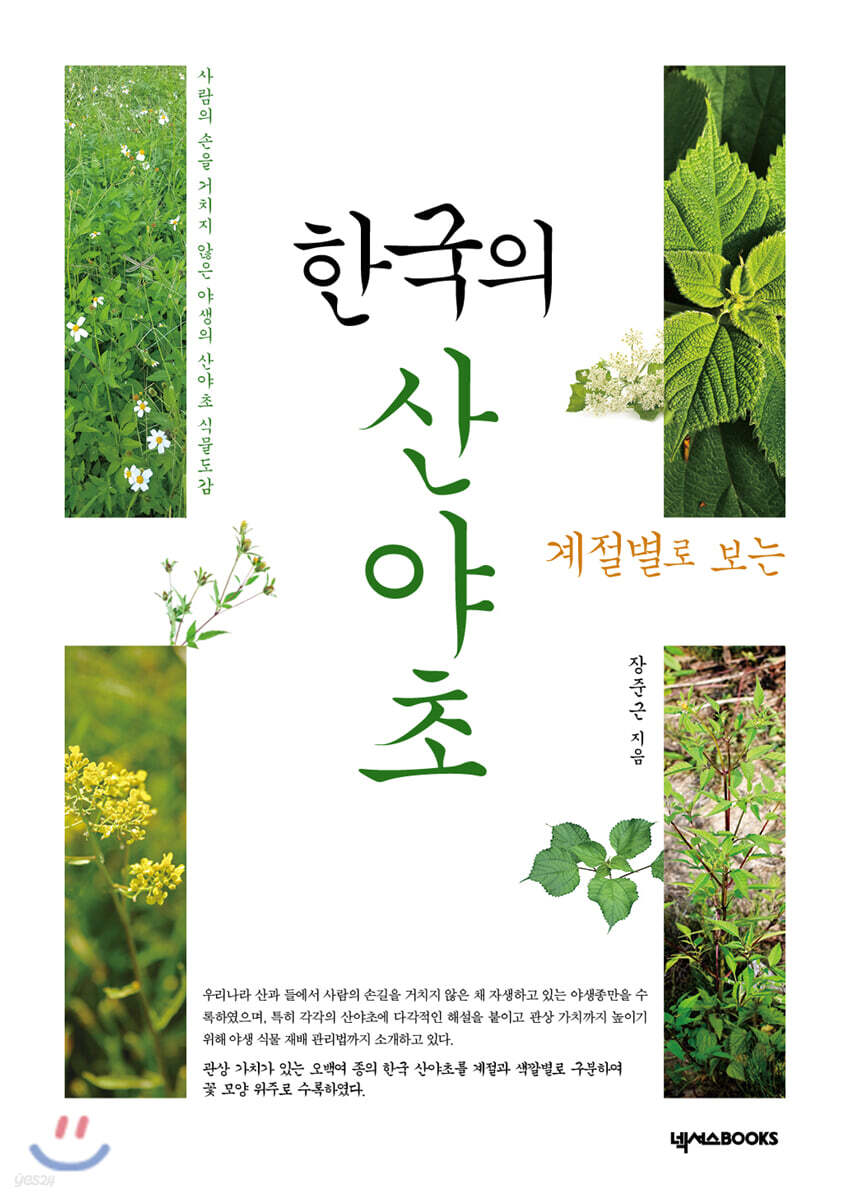 계절별로 보는 한국의 산야초_봄