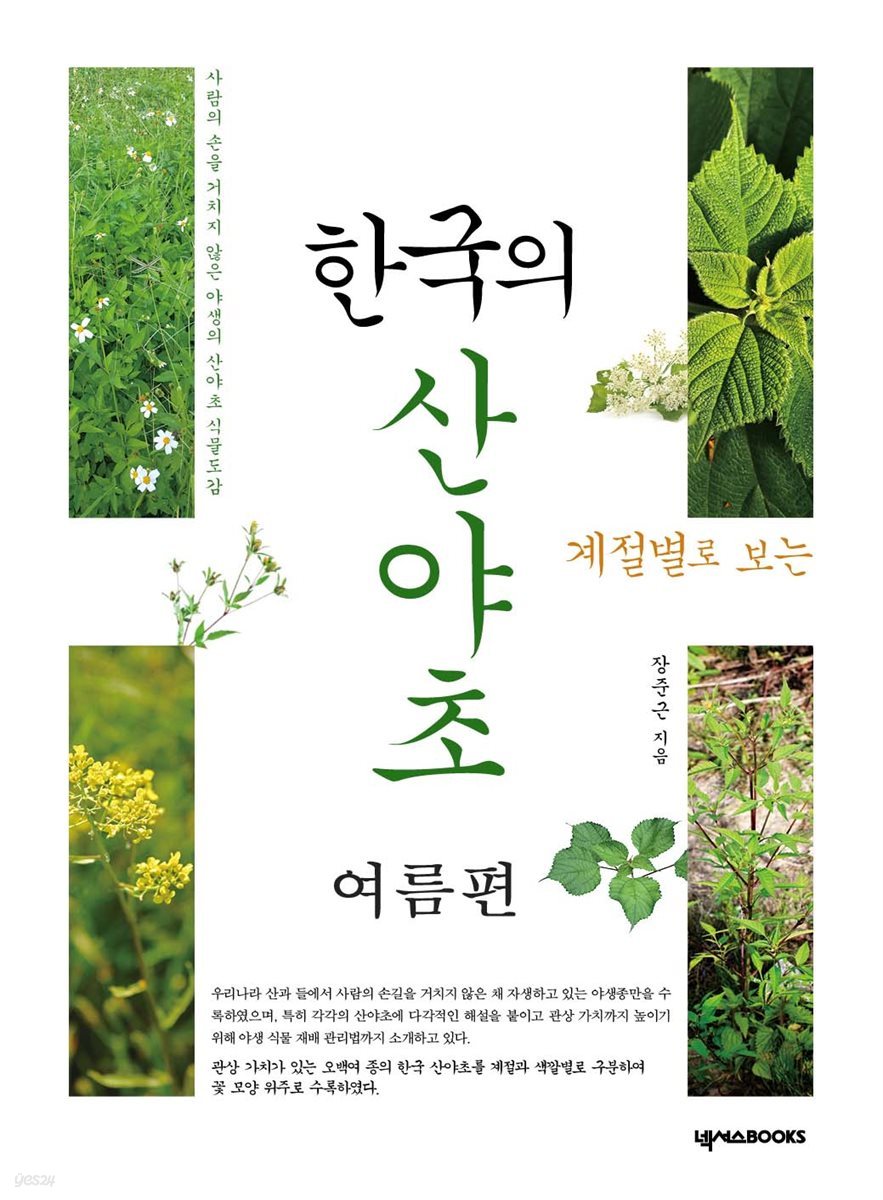 계절별로 보는 한국의 산야초_여름