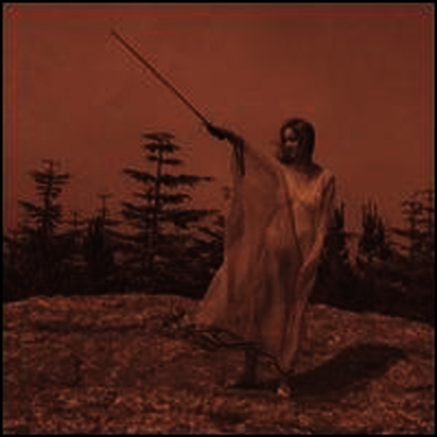 Unknown Mortal Orchestra — II 앨범 커버