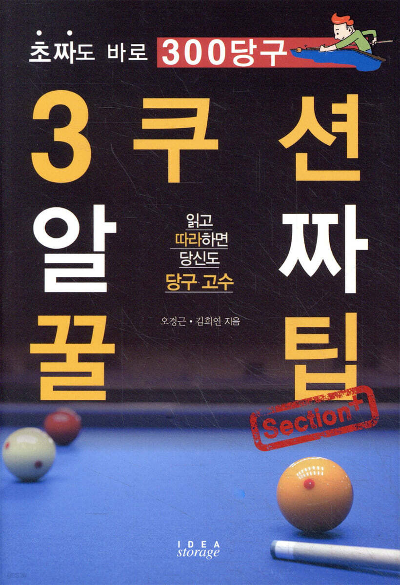 3쿠션 알짜 꿀팁 Section+