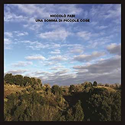 Niccolo Fabi - Una Somma Di Piccole Cose (CD)