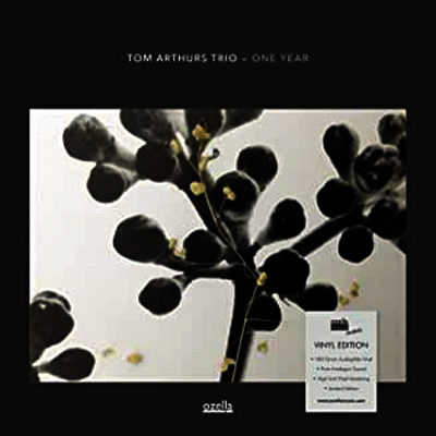 Tom Arthurs Trio — One Year (Gatefold) 앨범 커버
