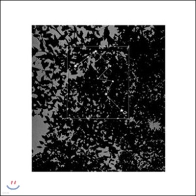 Masato Minami — The Tropics (Limited Edition) 앨범 커버