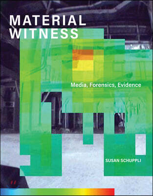 The MATERIAL WITNESS
